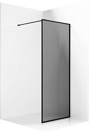 Ambassador Душевая перегородка Walk-In 100 15032218 – фотография-2